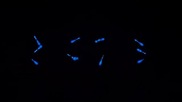 Flying Karamazov Brothers: Club Sandwich смотреть онлайн