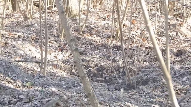 DSCN5697 смотреть онлайн