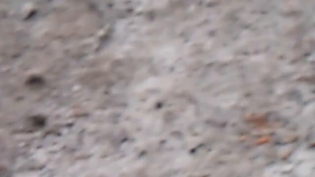 TT350, XR100 AND KX80 havin' fun on some little jumps 4/4 смотреть онлайн
