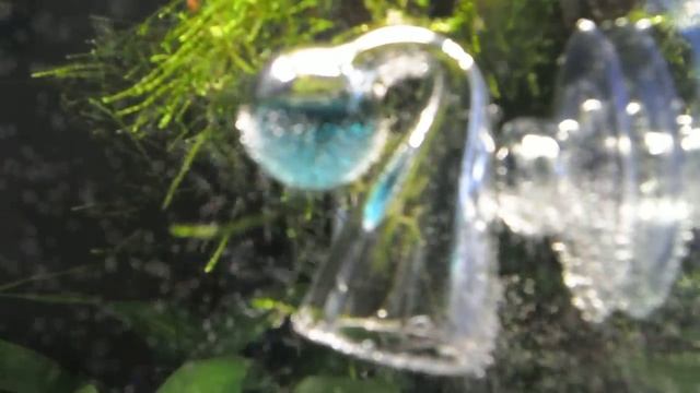 CO2 - баллонная система для кубика