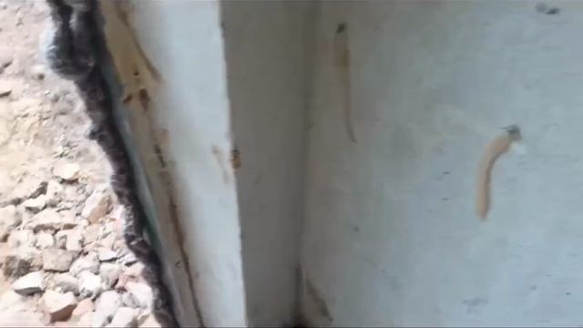 Ейск ! Очень плодотворной сегодня четверг, переделали много разных дел ! Кухарим сегодня с Алексеем! смотреть онлайн