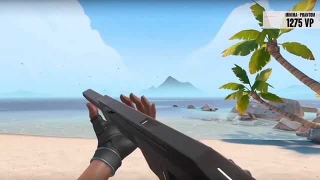 Ranking *PHANTOM* Skins in Valorant! (Worst to best) смотреть онлайн
