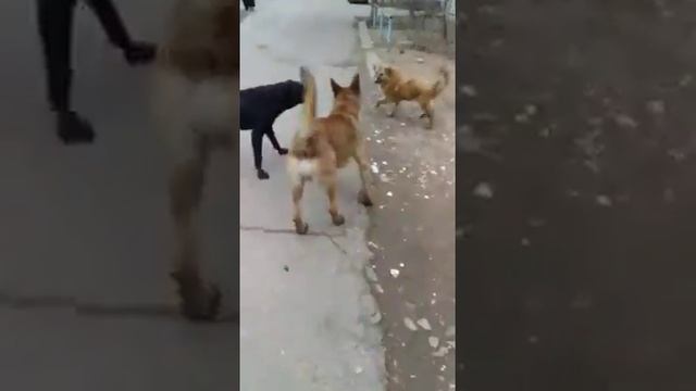 Астрахань, 4 марта. смотреть онлайн