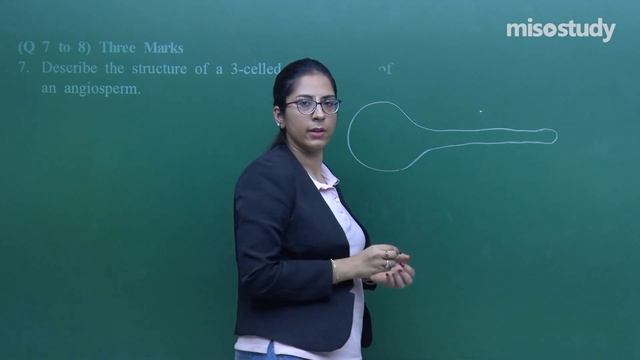 CBSE 11&12th Biology | 24. Sexual Reproduction in Plants | CBSE Pattern Question Exercise | In Eng смотреть онлайн