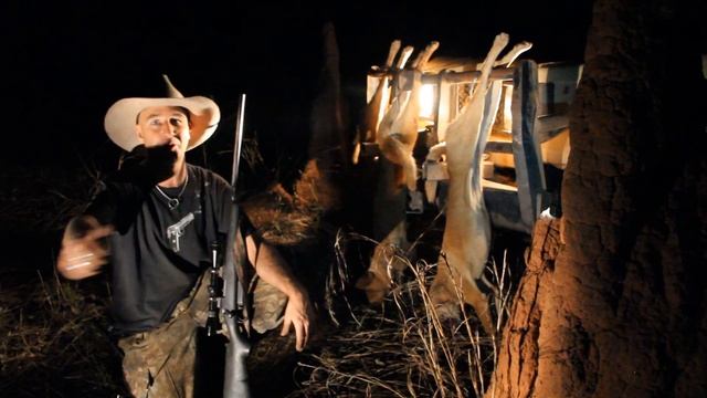 Hunting The Northern Territory- Part 1- Wild Dog/dingo Cross