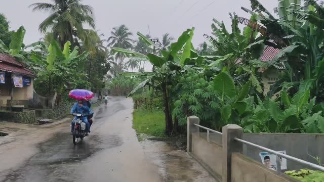 Супер сильный дождь в Индонезийской деревне, снимите стресс и лучше спите под звук сильного дождя. смотреть онлайн
