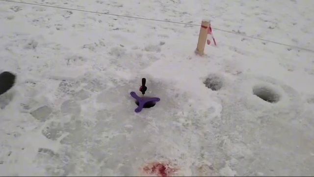 26-12-2024 смотреть онлайн