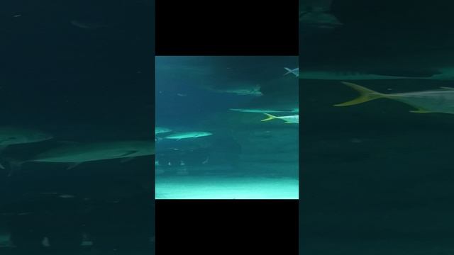 3380.mp4 смотреть онлайн