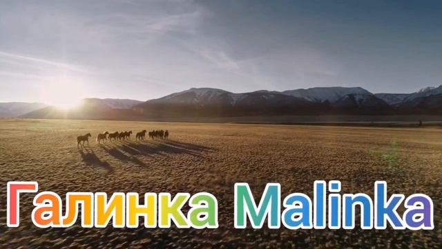 Макеева /Мальков /Малькова /Сломали семью и рады /Обзор Макеевщина / смотреть онлайн