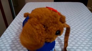 Интерактивная собачка на поводке.