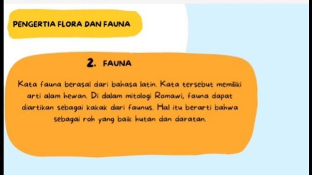flora dan fauna смотреть онлайн