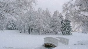 Зима. Снег. Мостик. Новогодний футаж. Зимний футаж. Красивый футаж для видео. Видеофон.