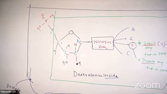 Biomolecule L-08 | 29-12-2021 | Mangesh Sir | Biology 11th | B3 | VSA смотреть онлайн