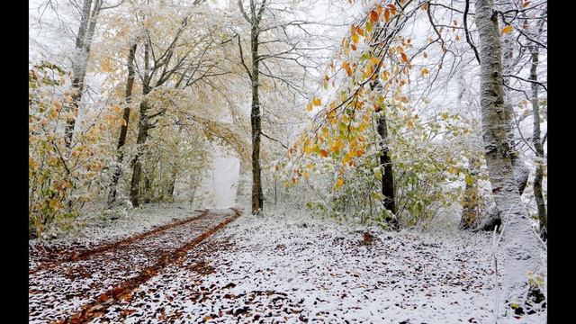 П.Чайковский Ноябрь "На тройке" смотреть онлайн