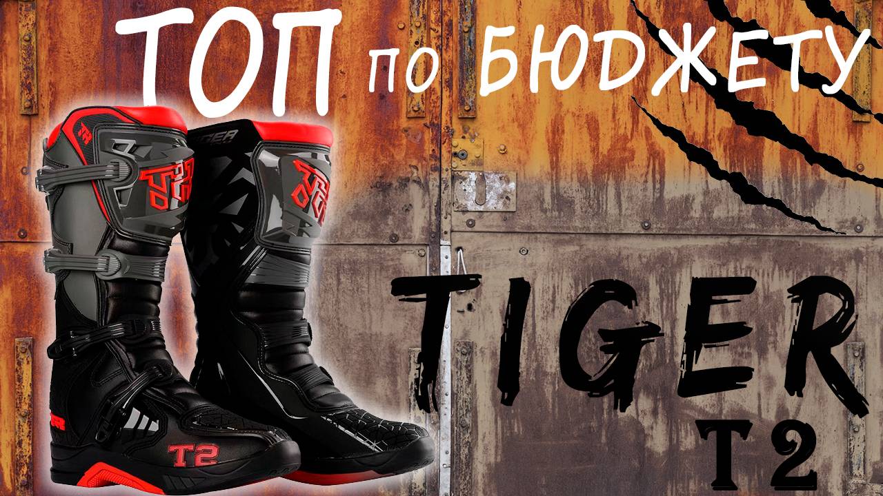 ЛУЧШИЕ БЮДЖЕТНЫЕ МОТОБОТЫ TIGER T2.