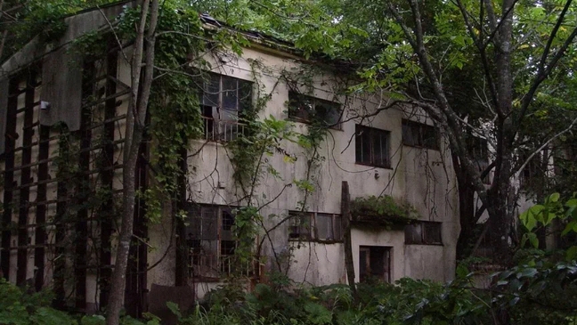 очень СТРАШНАЯ Забршка в деревне