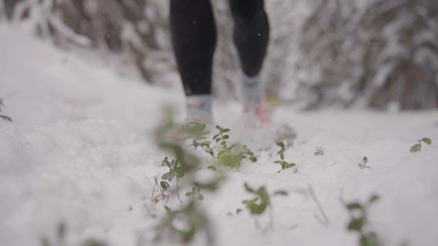 Mad Fox Ultra 2024 корпоративная эстафета смотреть онлайн