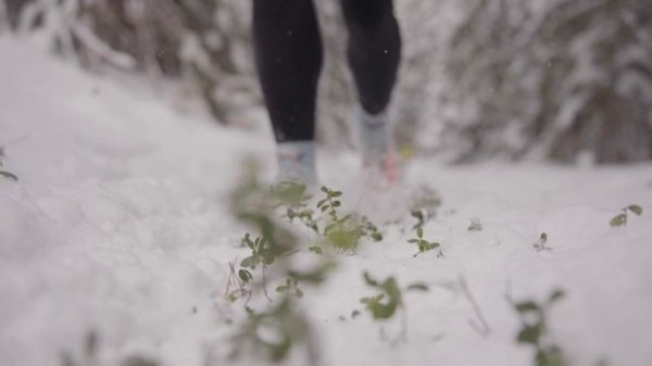 Mad Fox Ultra 2024 корпоративная эстафета