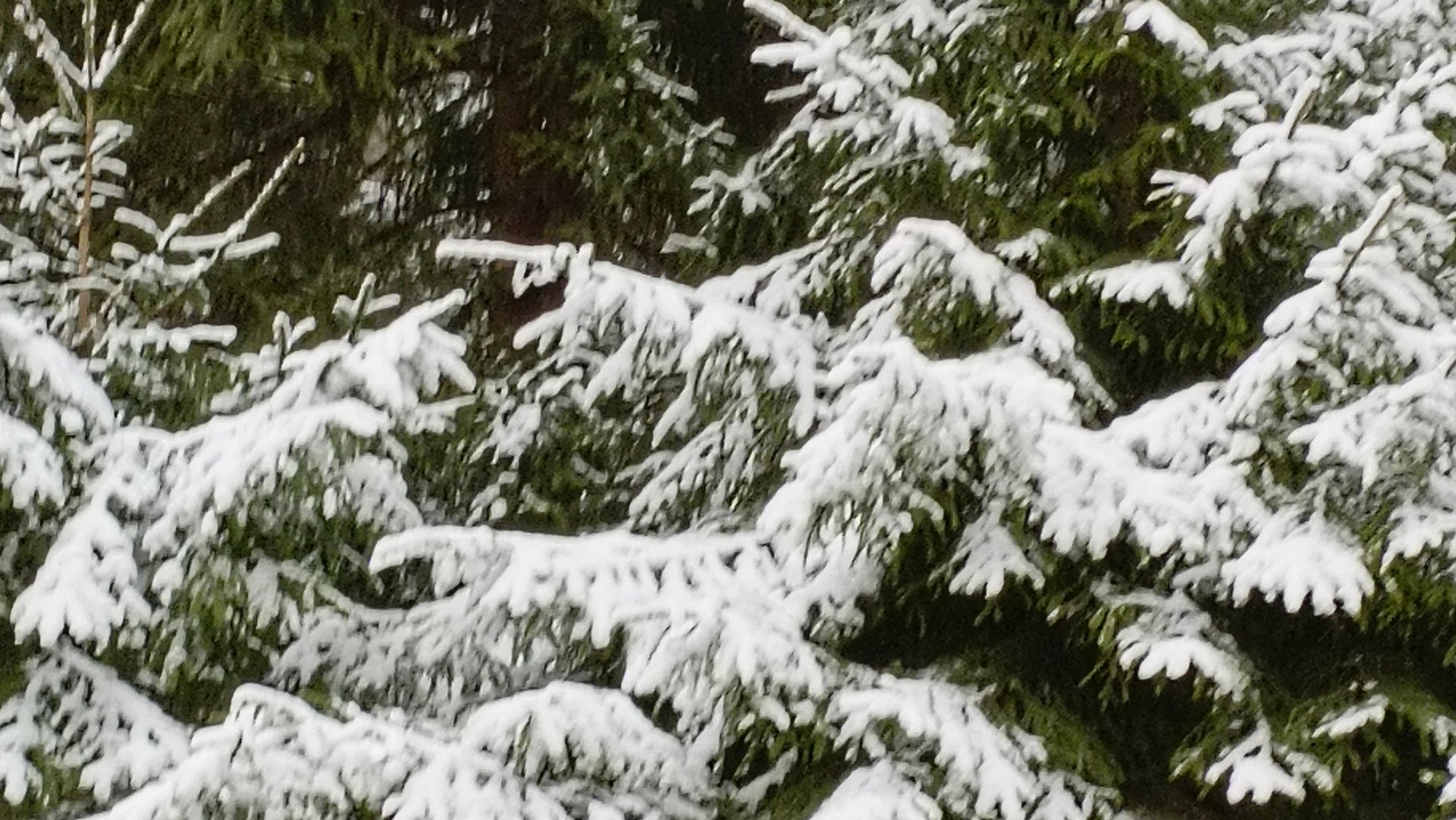 Зимушка Зимв ! смотреть онлайн