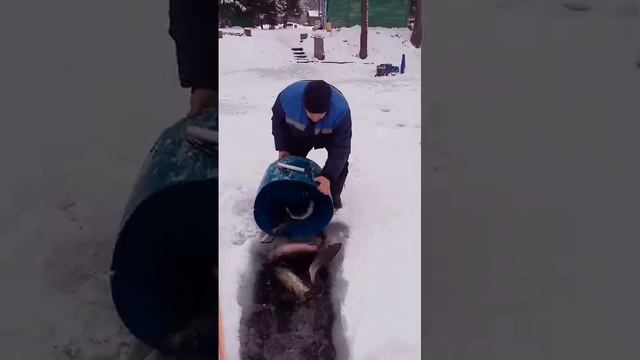 запуск форели смотреть онлайн
