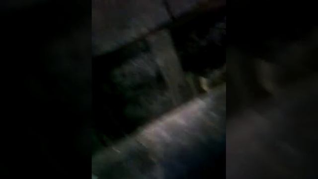 В поисках клада смотреть онлайн