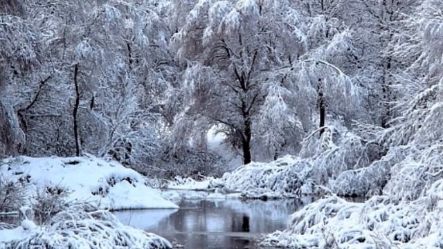 Зима. Лесная речка. Новогодний футаж. Зимний футаж. Красивый футаж для видео. смотреть онлайн