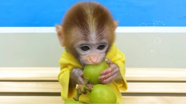 Бон Бон попкорн.