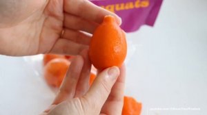 Обзор Мандаринкват «Indio» | Цитрусовые растения | Цитрус Микс #комнатныерастения #обзоррастений