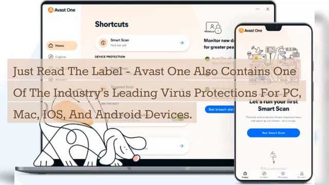 Avast's recipe for online privacy смотреть онлайн