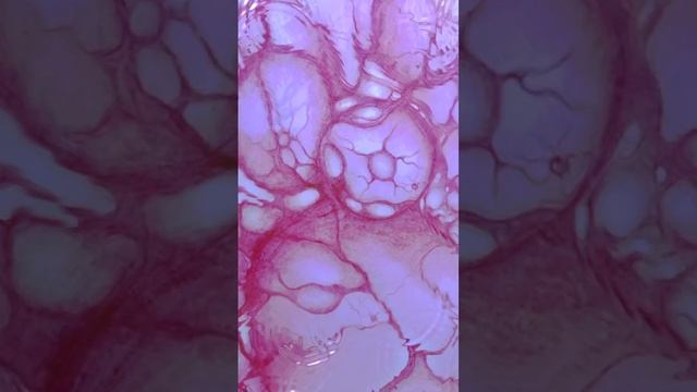 ПРО СОПРОТИВЛЕНИЕ смотреть онлайн