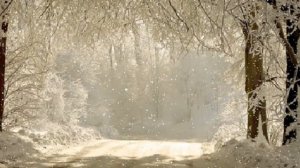 Зимняя дорога. Новогодний футаж. Зимний футаж. Красивый футаж для видео.