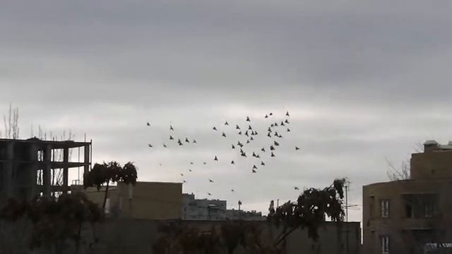 Зима зимой,но... смотреть онлайн