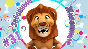 ХВОСТАТЫЕ И СМЕШНЫЕ № 31 + ВЕСЁЛАЯ ВИДЕОПОДБОРКА ПРО ЖИВОТНЫХ+ НОВЫЕ ПРИКОЛЫ 2024+ СМЕШНЫЕ ЖИВОТНЫЕ