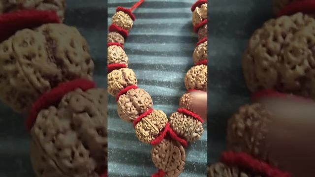 Nepali Rudraksha ki mala big size 25-32 mm collector heavy beads powerful beads mob.- 9905207417 смотреть онлайн