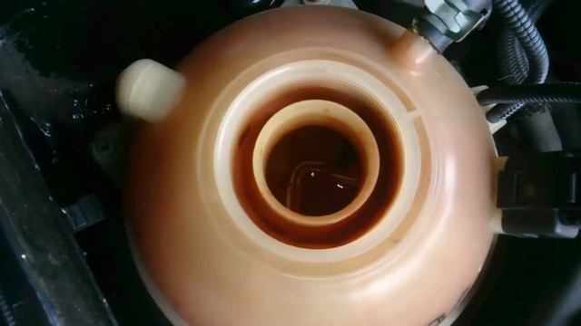 T5542 смотреть онлайн