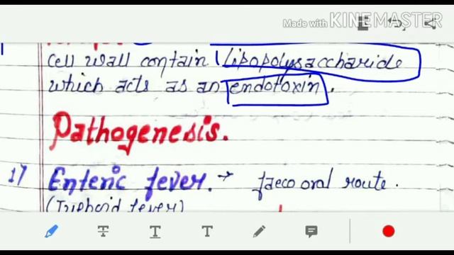 Salmonella || microbiology || biology with Pooja смотреть онлайн