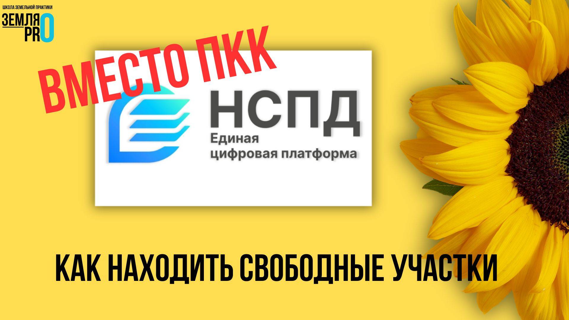 Поиск свободных участков на НСПД: выставляем правильные настройки смотреть онлайн