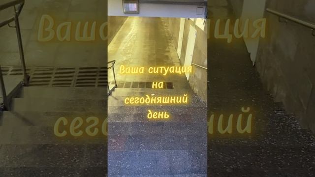Ваша ситуация на сегодняшний день