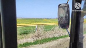 Подготовка к посеву и посев люцерны