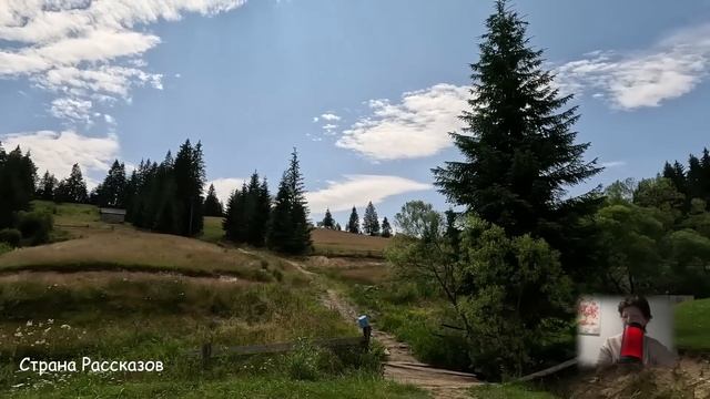 Получив от деда бизнес, устроилась обычной продавщицей, а когда её подставили... смотреть онлайн