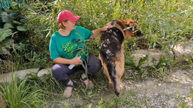 Видео с камер: игры большого вольера смотреть онлайн