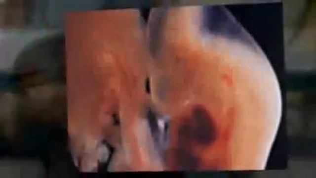 Календар вагітності.flv смотреть онлайн