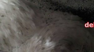 Установка для производства вторичного поролона.