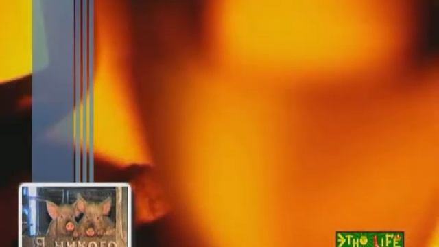 Вегетарианская уха смотреть онлайн