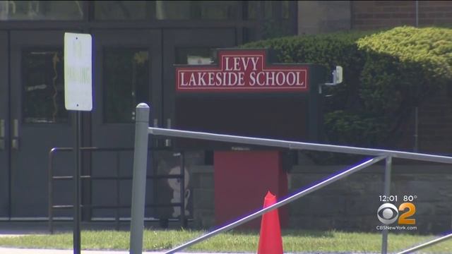 Mercury Vapor Detected At 3 Long Island Schools смотреть онлайн