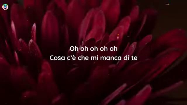 RAGA ASCOLTATE QUESTA CANZONE WOW смотреть онлайн