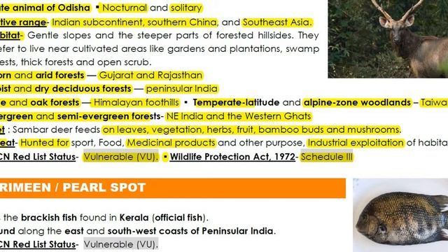 IN DEPTH  - SPECIES IN NEWS( JUNE 2019)