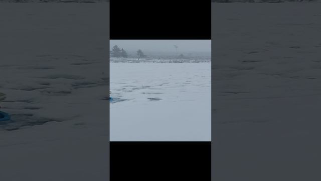 26-12-2024 смотреть онлайн