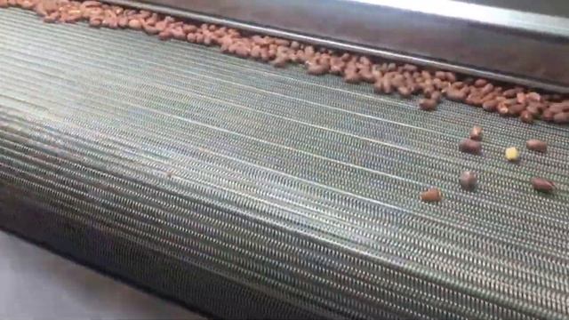 OS - 300 Belt Type Roasting Line / OS - Линия обжаривания 300 ленточного типа смотреть онлайн