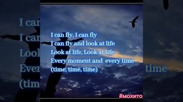 Xcho -   I can fly текст песни